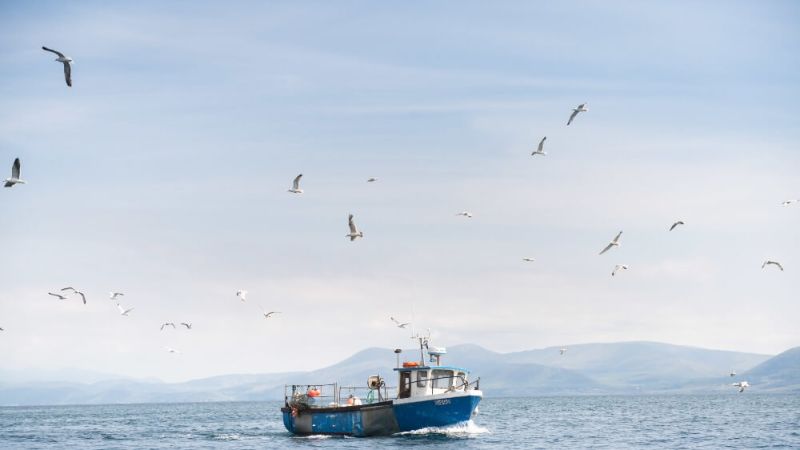 Fishing Boat, Co_master